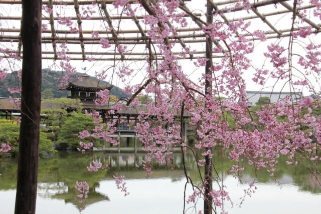 Rejoice Stay Kyoto Nijo Gekko Exterior foto
